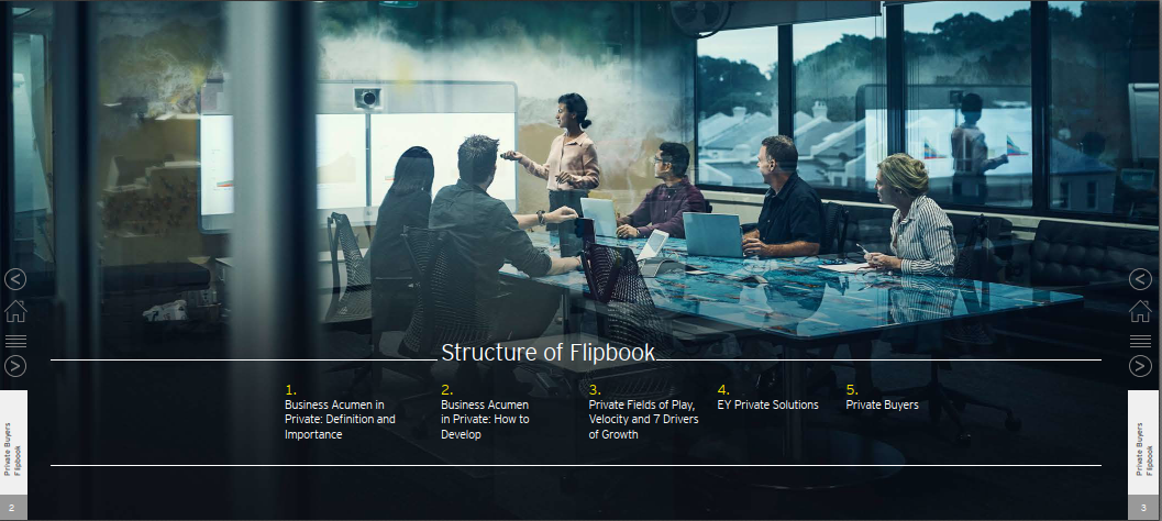 Interactive Business Acumen for Private learning material